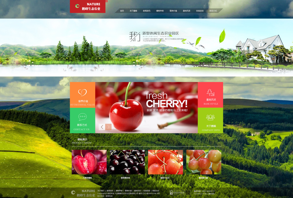 樱桃网站设计 构建视觉诱人与功能并重的在线空间
